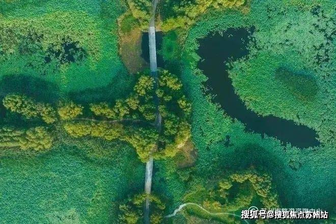 5楼盘评测-鹿溪雅园售楼中心详情户型 小区配套九游会·j9网站鹿溪雅园售楼处欢迎您 202(图16)